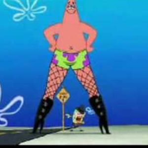 Meet your Posher, Max